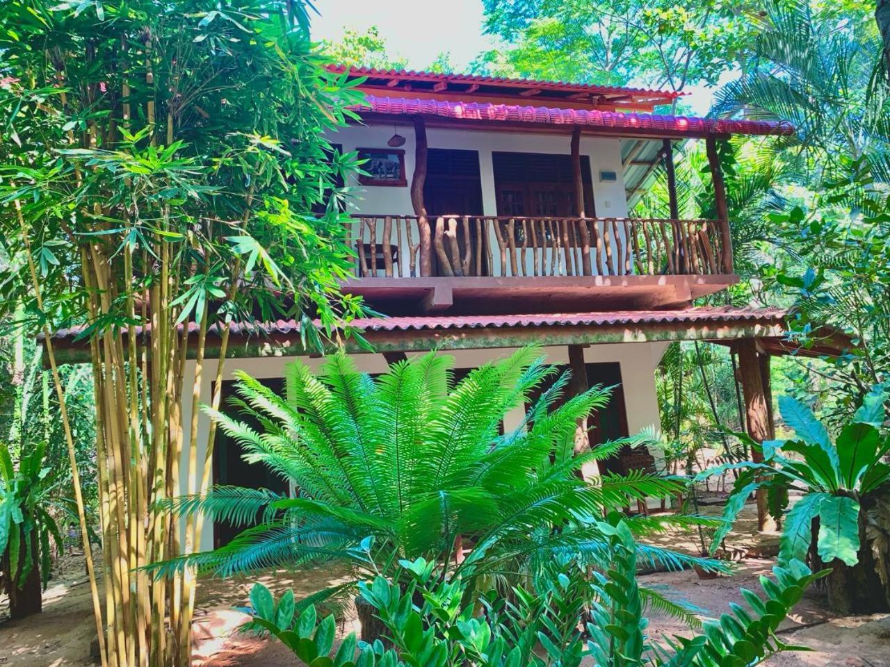 Walawa Blue Sapphire Hotell Udawalawe Exteriör bild