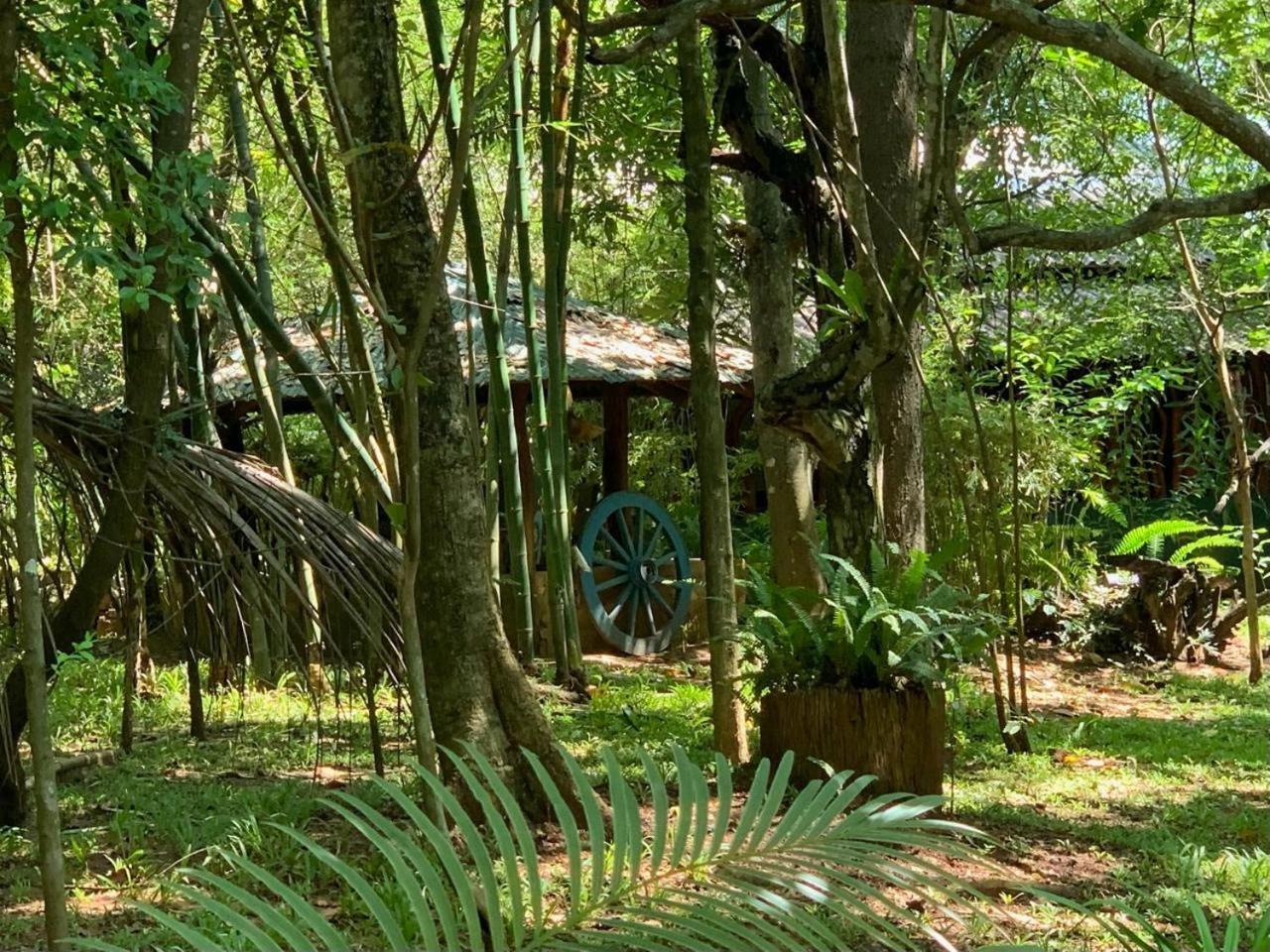 Walawa Blue Sapphire Hotell Udawalawe Exteriör bild